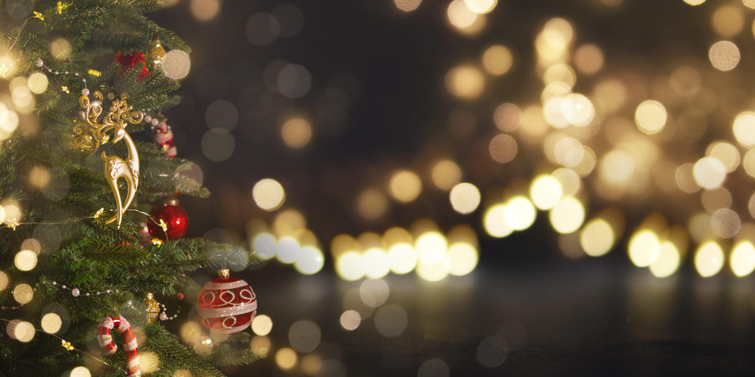 NATAL